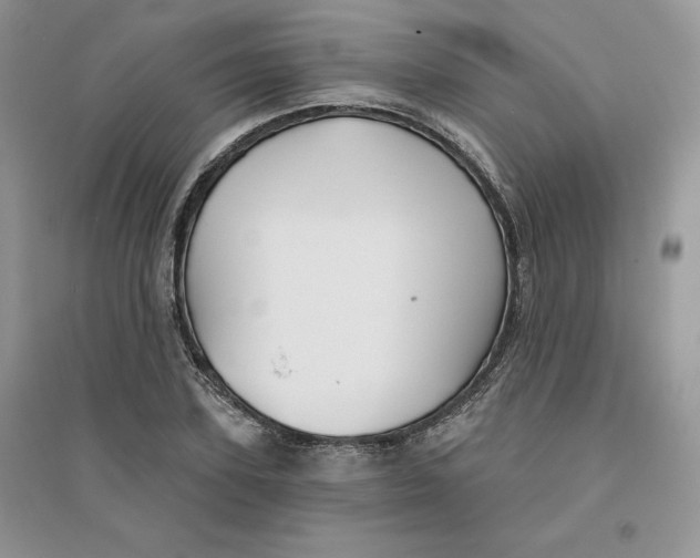 X0000096170931200802081408