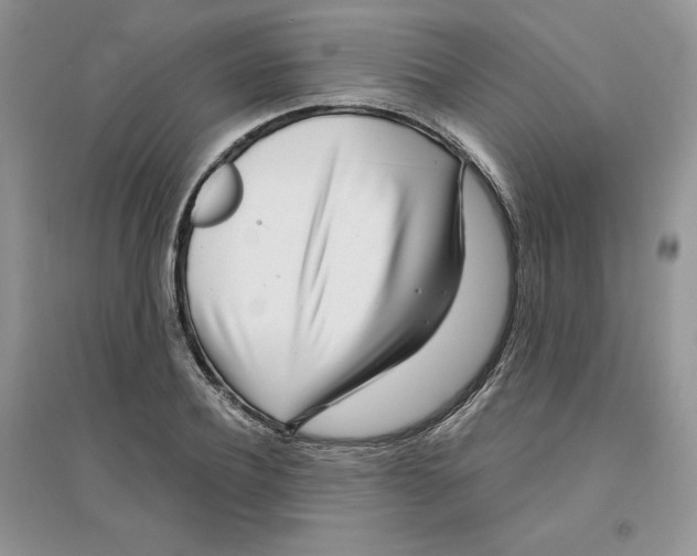 X0000096170932200802081408