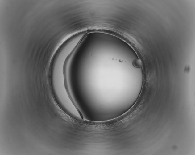 X0000096170934200802081408