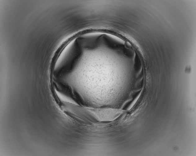 X0000096170935200802081408