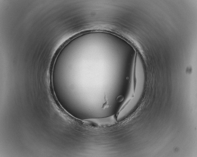 X0000096170936200802081408