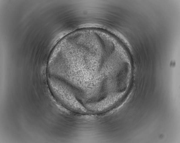 X0000096170937200802081408