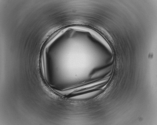 X0000096170938200802081408