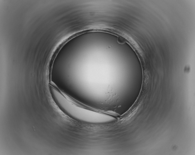 X0000096170939200802081408