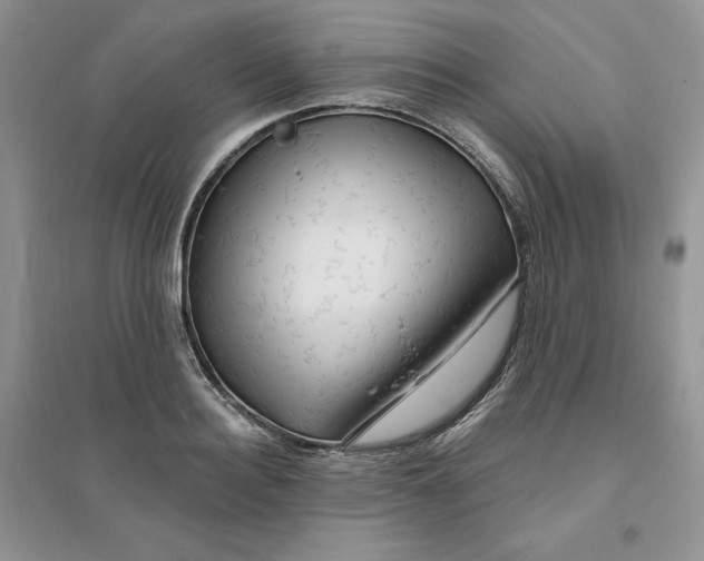 X0000096170940200802081408