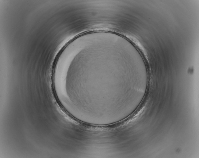 X0000096170941200802081408