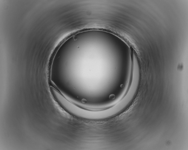 X0000096170942200802081408