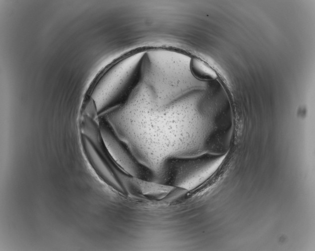 X0000096170943200802081408