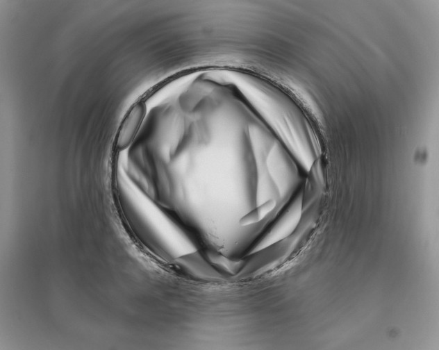 X0000096170944200802081408