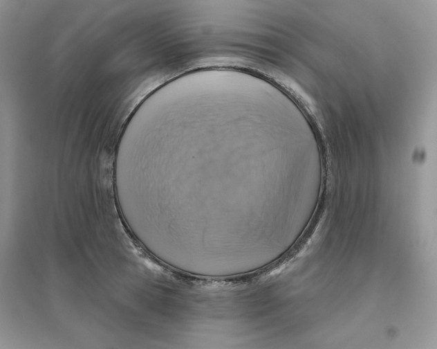 X0000096170945200802081408