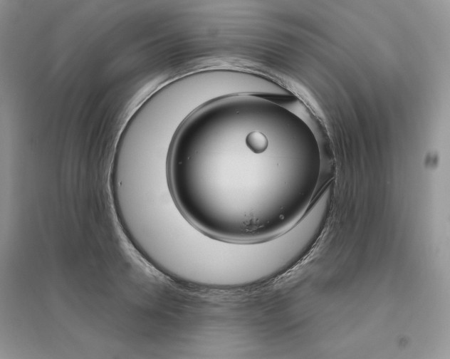 X0000096170946200802081408