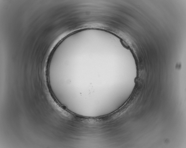 X0000096170947200802081408