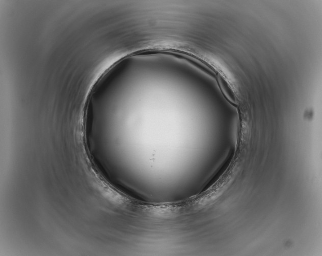 X0000096170948200802081408