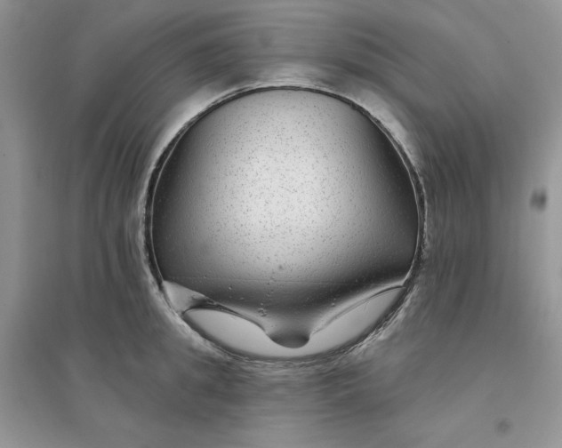 X0000096170949200802081408