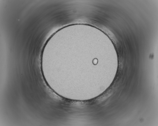 X0000096170950200802081408