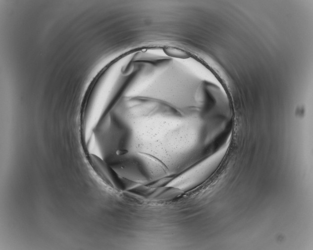 X0000096170951200802081408