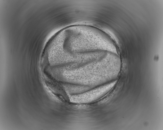 X0000096170952200802081408