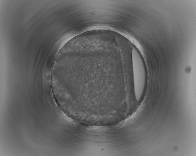 X0000096170953200802081408