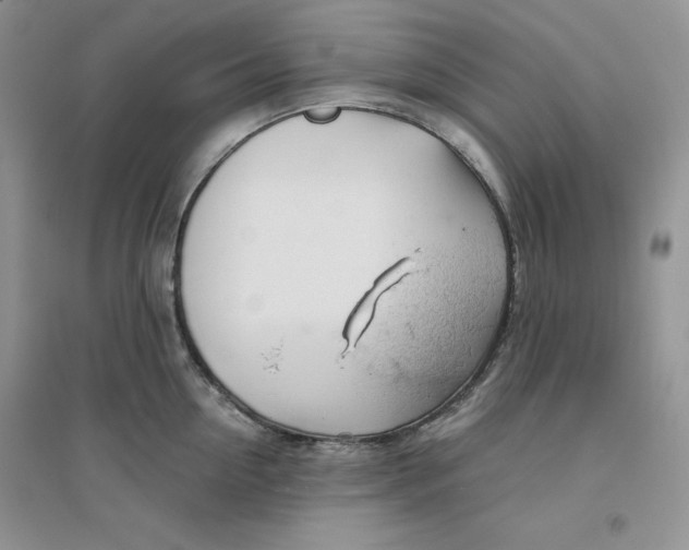 X0000096170954200802081408