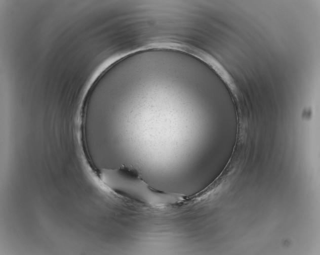 X0000096170955200802081408