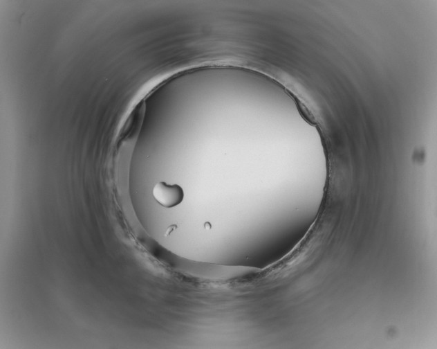 X0000096170956200802081408