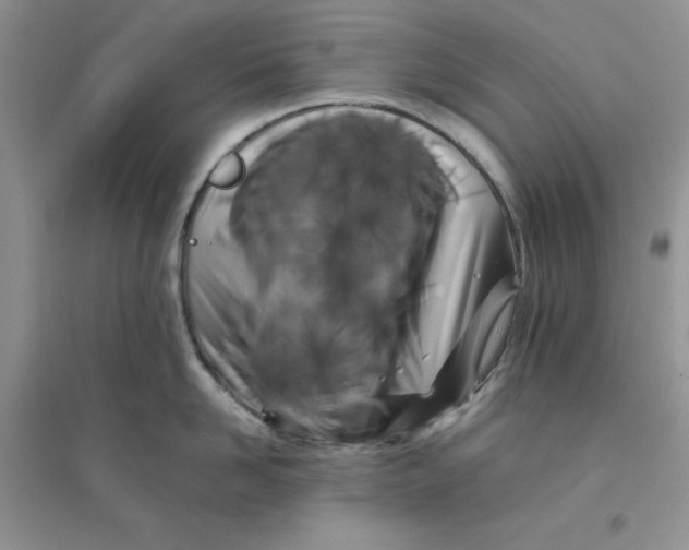 X0000096170958200802081408