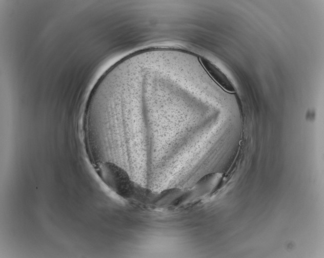 X0000096170959200802081408