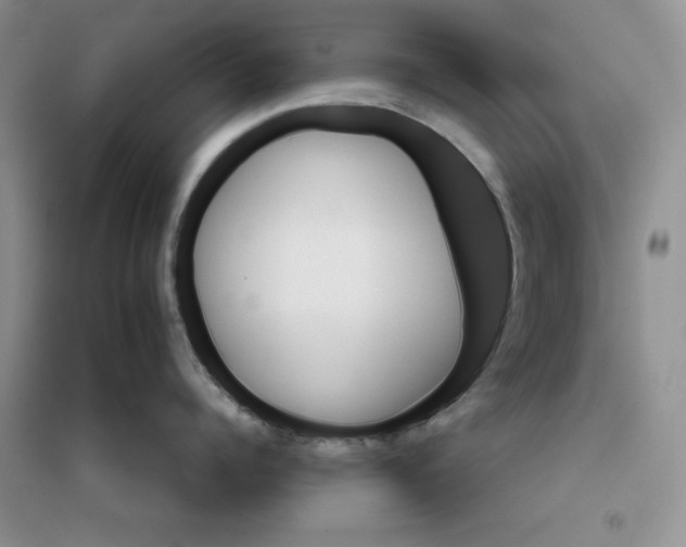 X0000096170960200802081408