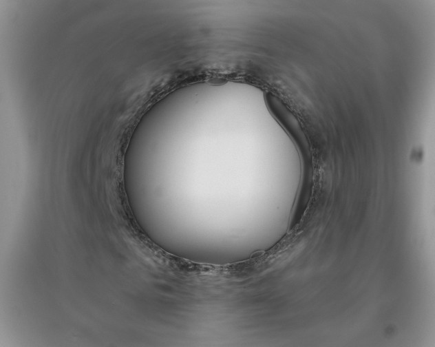 X0000096170961200802081408