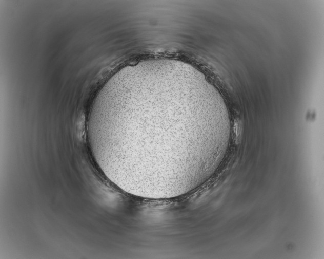 X0000096170963200802081408