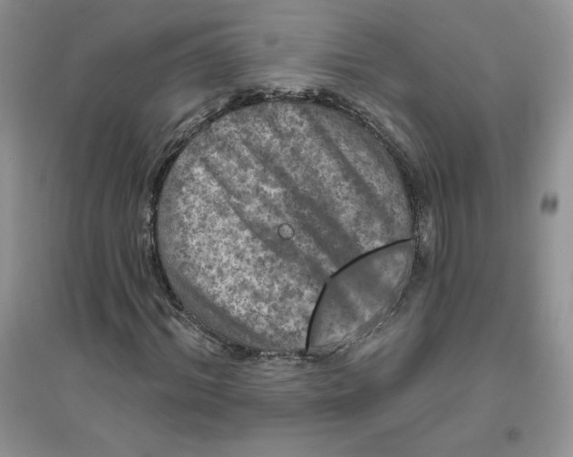 X0000096170964200802081408