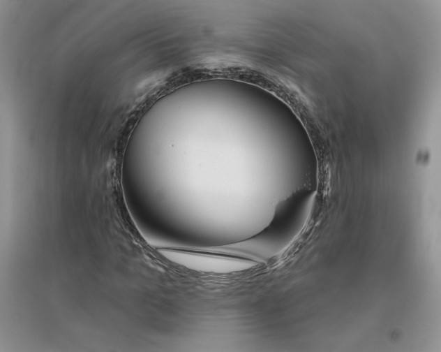 X0000096170965200802081407