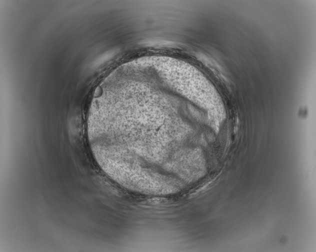 X0000096170966200802081407