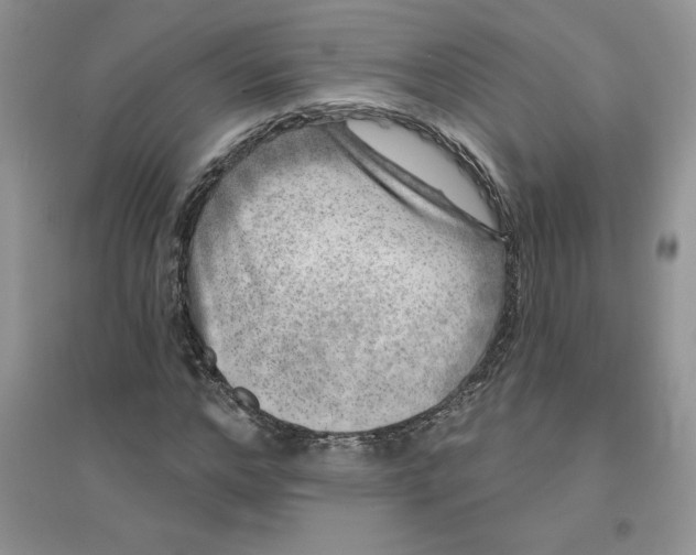 X0000096170968200802081407