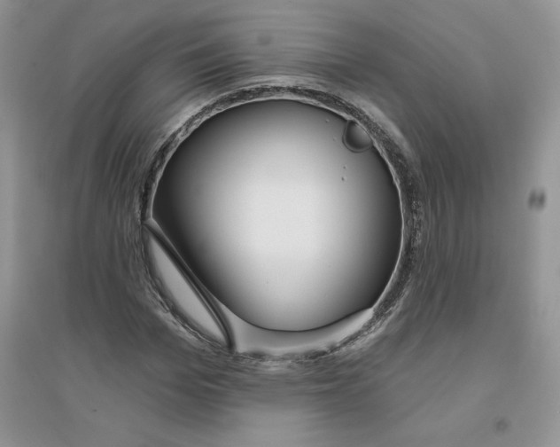 X0000096170969200802081407