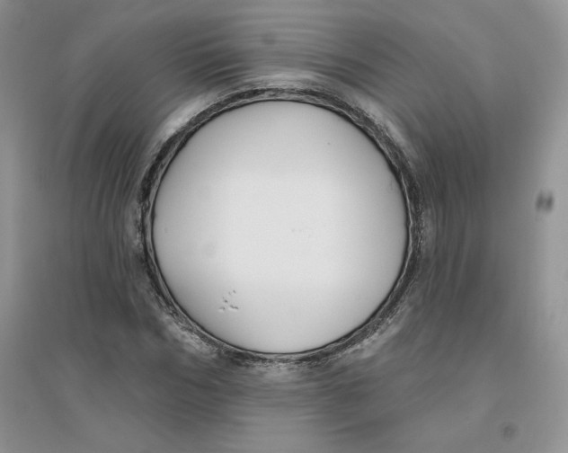 X0000096170970200802081407