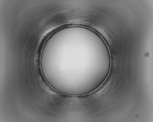 X0000096170971200802081407