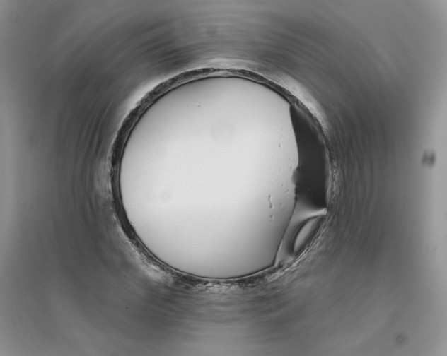 X0000096170972200802081407