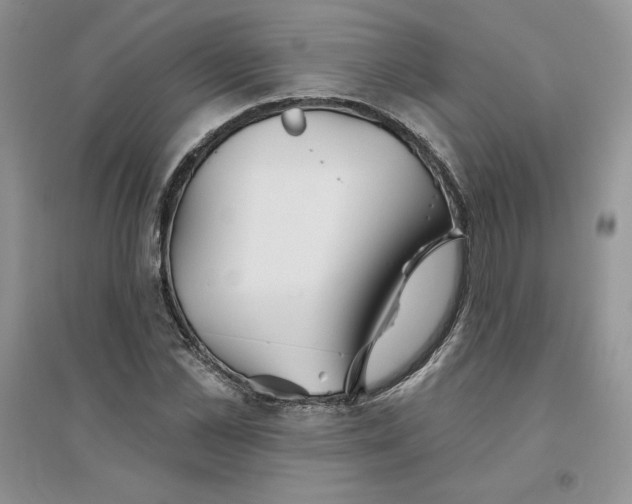 X0000096170973200802081407