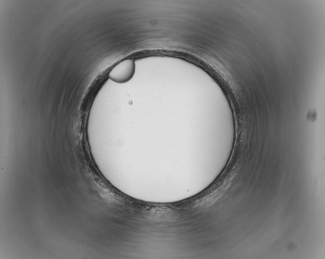 X0000096170974200802081407