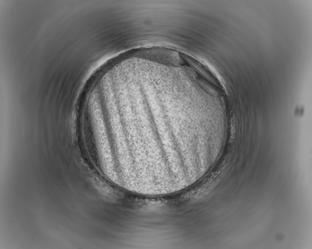 X0000096170975200802081407