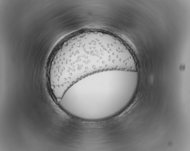 X0000096170976200802081407