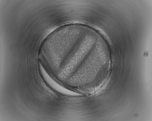 X0000096170977200802081407