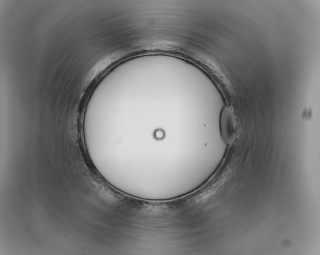 X0000096170978200802081407