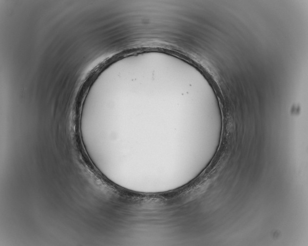 X0000096170979200802081407