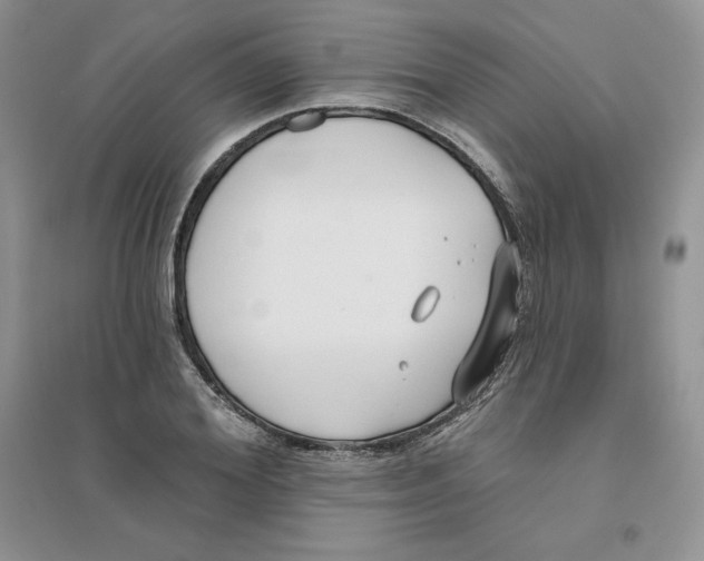 X0000096170980200802081407