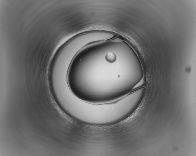 X0000096170981200802081407