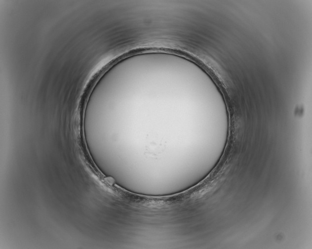 X0000096170982200802081407