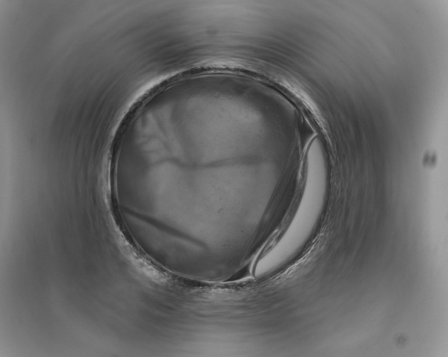 X0000096170984200802081407