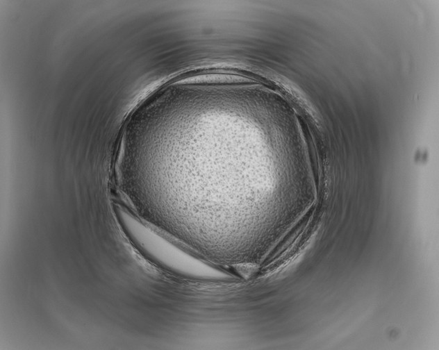 X0000096170985200802081407